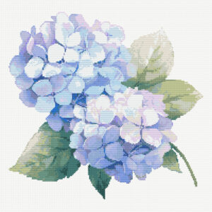 Blue Hydrangea FP0124