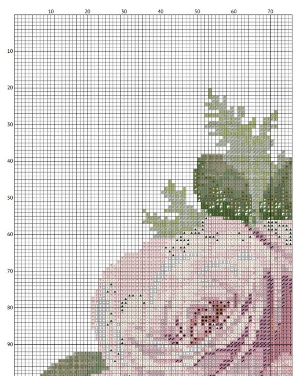 Pink Roses FP0224 - Image 4