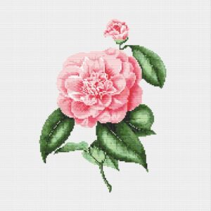 Pink Camelia Rose FP1424