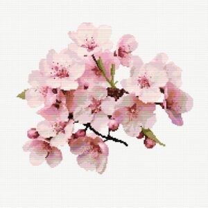 Cherry Blossom FP0424