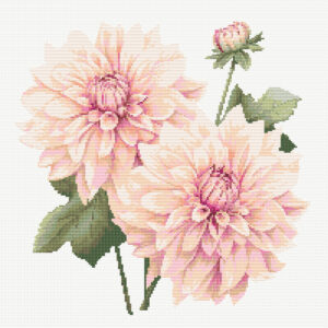 Delicate Dahlias FP0624