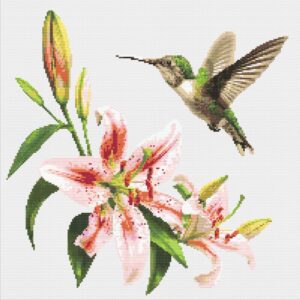 Lily and the Hummingbird FP1224