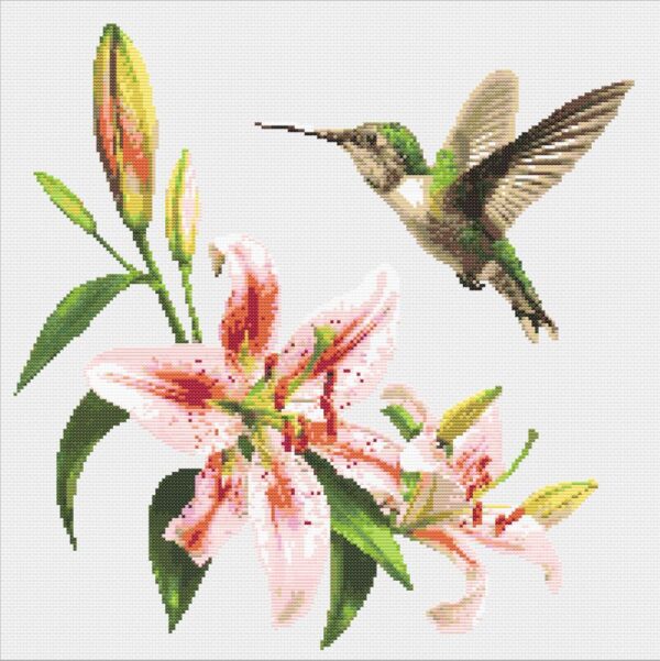 Lily and the Hummingbird FP1224