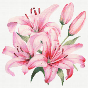 Pink Lilies FP0924