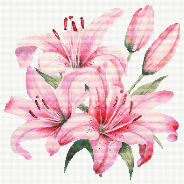 Pink Lilies FP0924