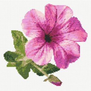 Petunia Flower FP1124