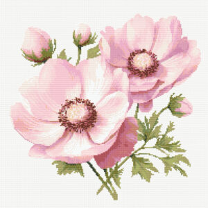 Anemones FP1024
