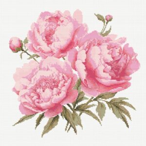 Pink Peonies FP0524