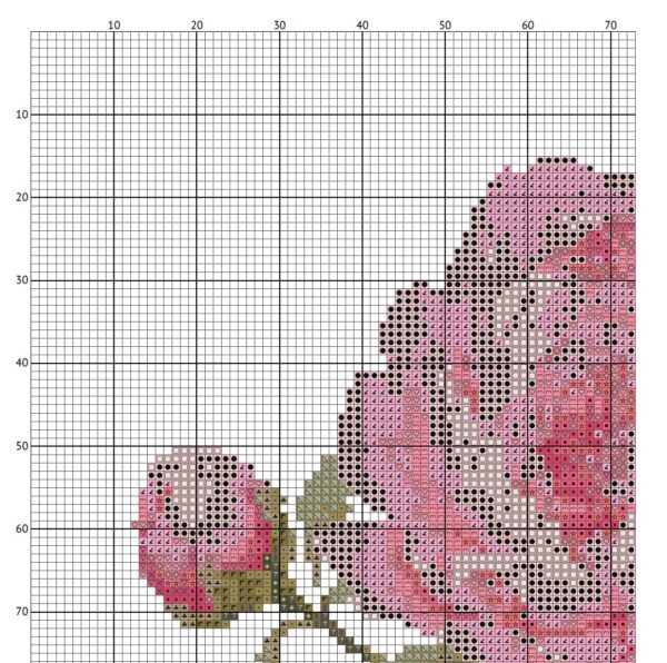 Pink Peonies FP0524 - Image 5