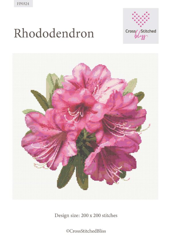 Rododendron FP0324 - Image 2
