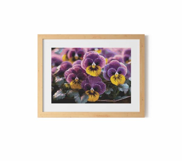 Sunkissed Pansies FP1724 - Image 2