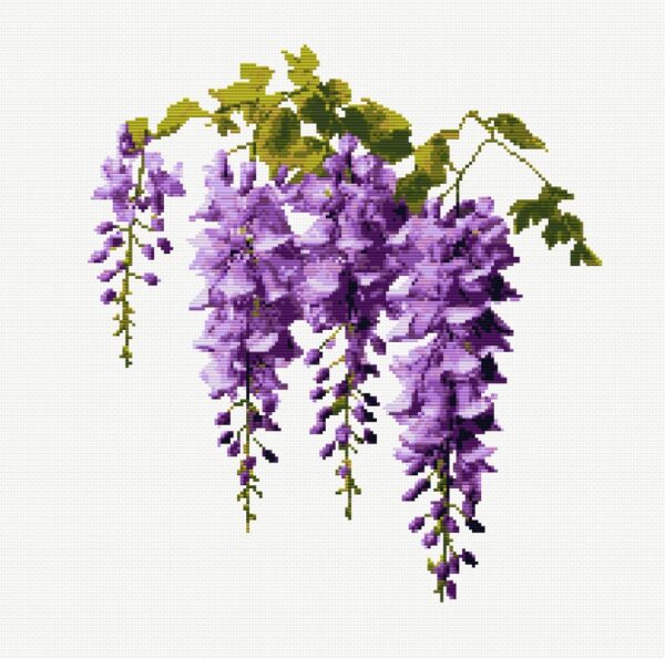 Wisteria Flower FP0824