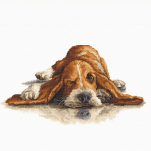 Basset SB2341