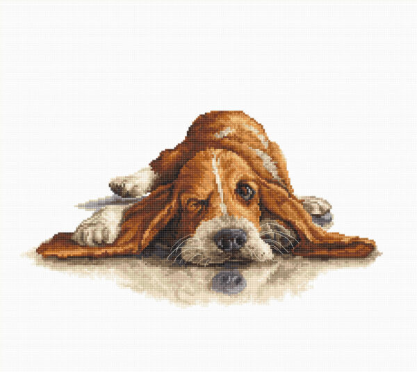 Basset SB2341