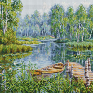 Birches at the edge of the lake SBU5012