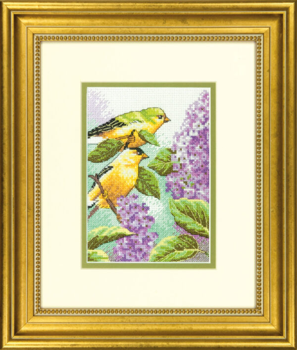 Goldfinch and Lilacs D70-65153