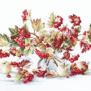 Guelder Rose SB2272