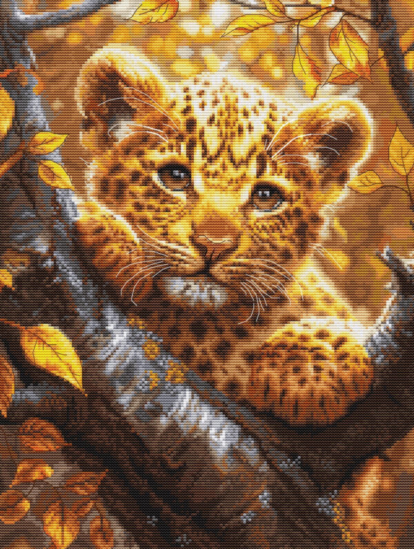 Leopard Cub at Sunrise 25x34cm SBU5068