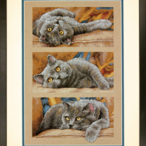 Max the Cat D70-35301