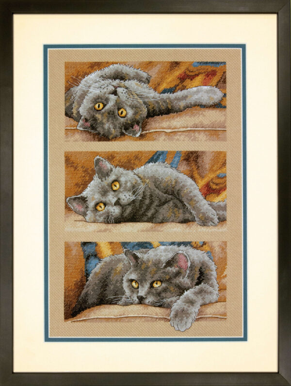 Max the Cat D70-35301