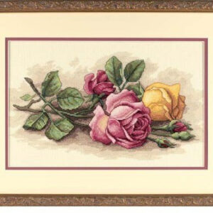 Rose Cuttings D13720