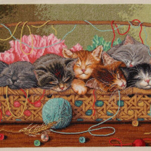 Kitty Litter D35184