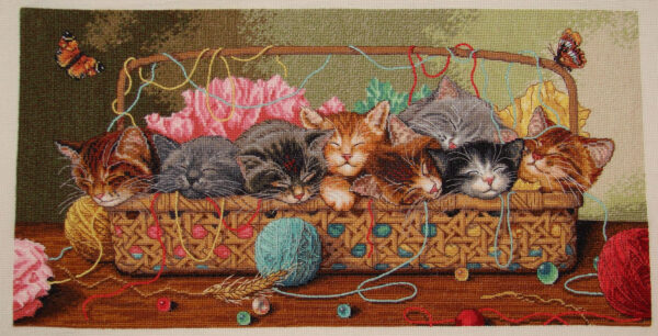 Kitty Litter D35184