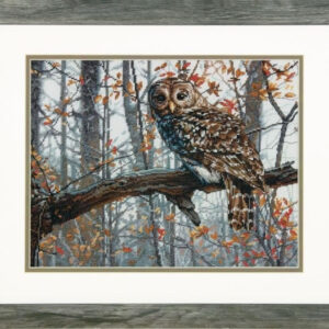 Wise Owl D70-35311