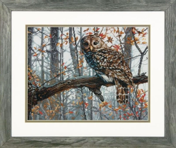 Wise Owl D70-35311