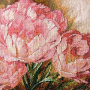 Tulip Trio D35175