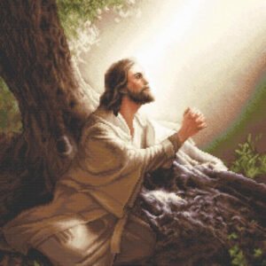 Jesus Christ 35x52cm SB618