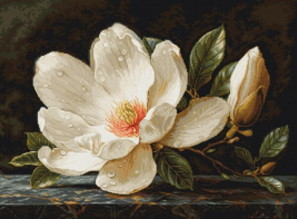 The Magnolia Dew 38x28cm SB713