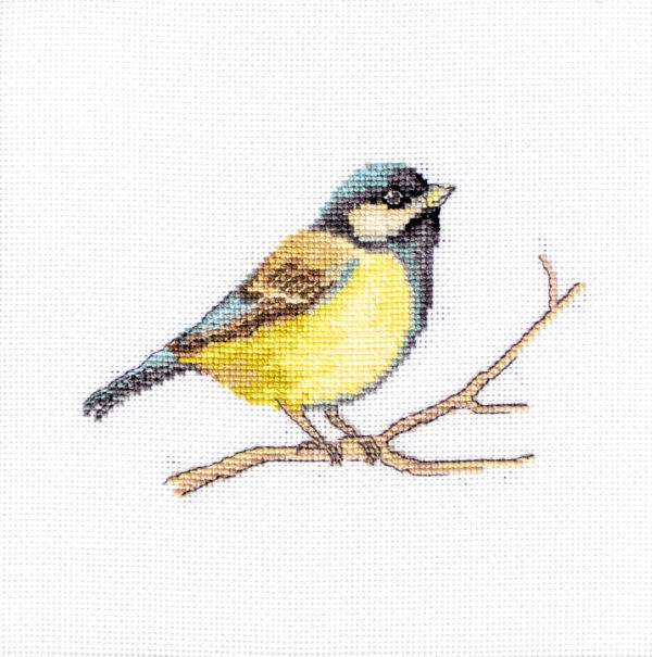 Great Tit SB1155