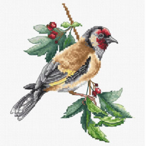 Goldfinch bird SB1197