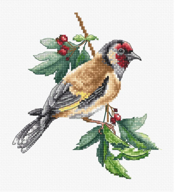 Goldfinch bird SB1197