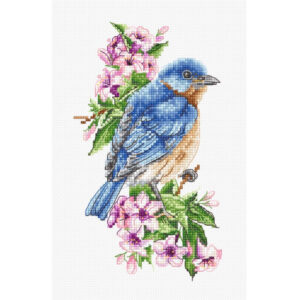 Blue bird on the branch SB1198