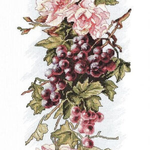 Composition with grapes SB212