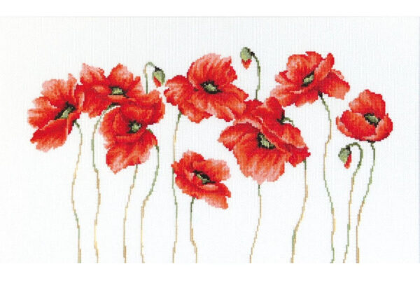 Poppies SB2223