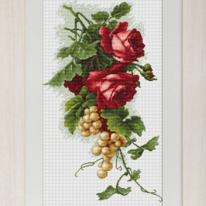 Red roses and grapes SB2229