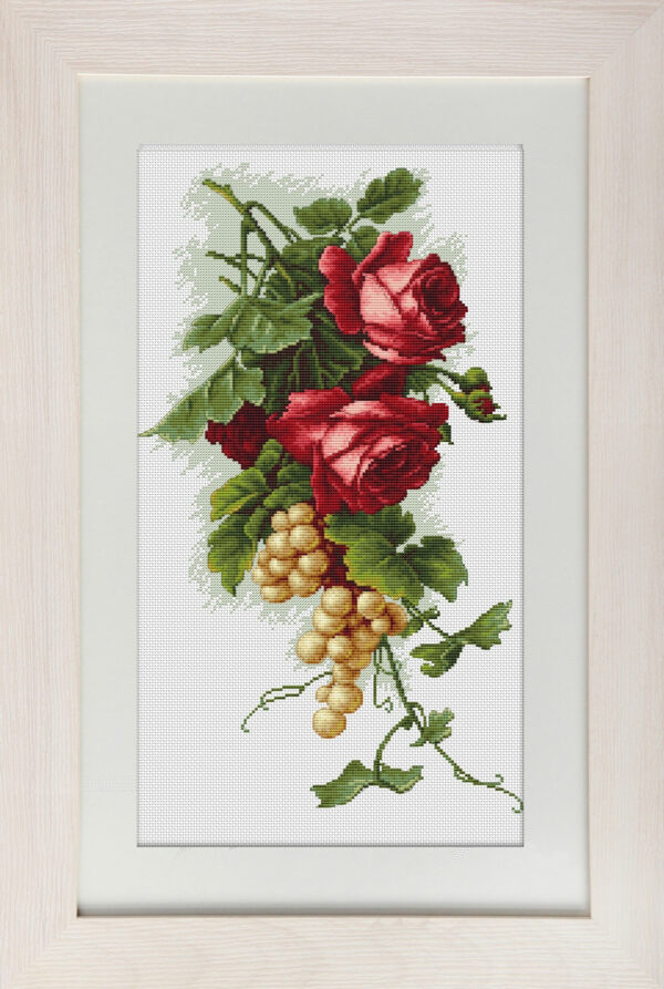 Red roses and grapes SB2229