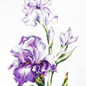 Irises SB2251