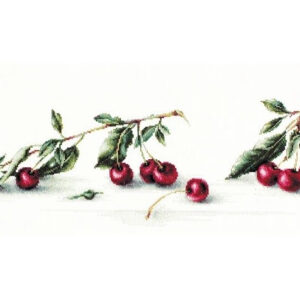 Cherry SB2252