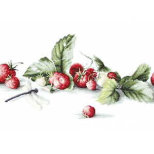 Etude with Strawberries SB2254