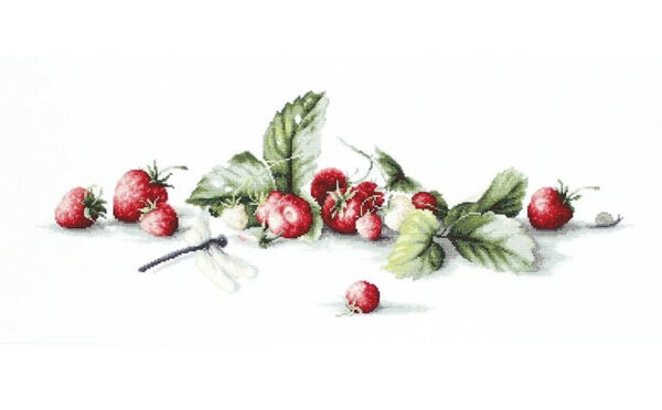 Etude with Strawberries SB2254