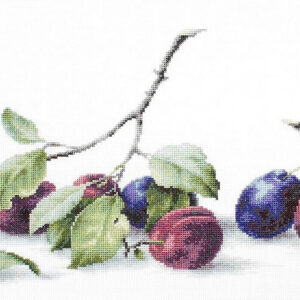 Plums SB2257