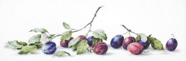 Plums SB2257