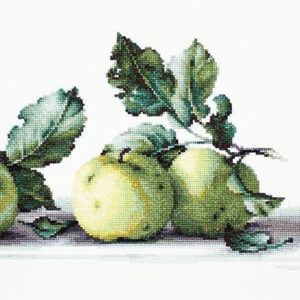 Still Life with apples SB2259