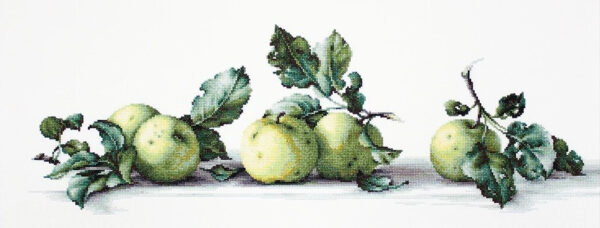 Still Life with apples SB2259