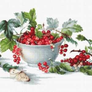 Red Currants SB2260