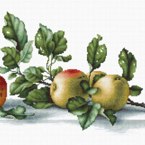 Apples SB2265